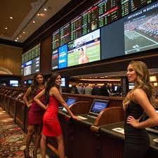 bunga67 live dealer table with multiple camera feeds and real dealers